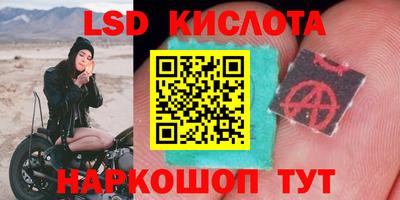 гашик Владимир