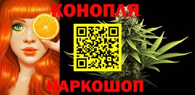 гашик Владимир