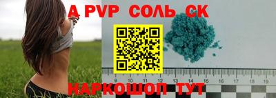 гашик Владимир