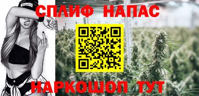гашик Владимир