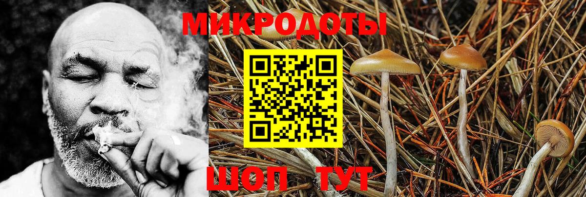 Псилоцибиновые грибы Psilocybine cubensis  Галлюциногенные грибы Magic Shrooms  Вход с VPN  Омск 